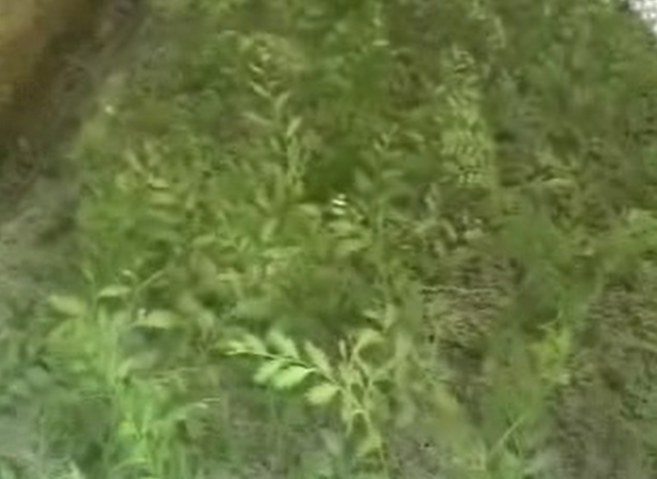 微信截图_20250613095331.png