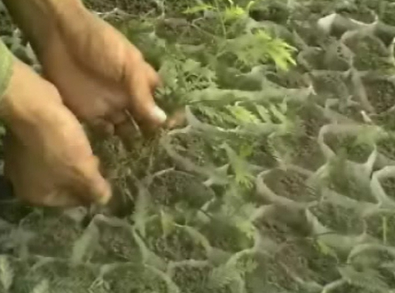 微信截图_20250613094511.png