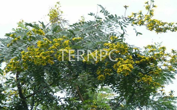 image01.jpg